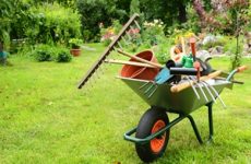 Więcej o: Jak przygotować ogród na wiosnę